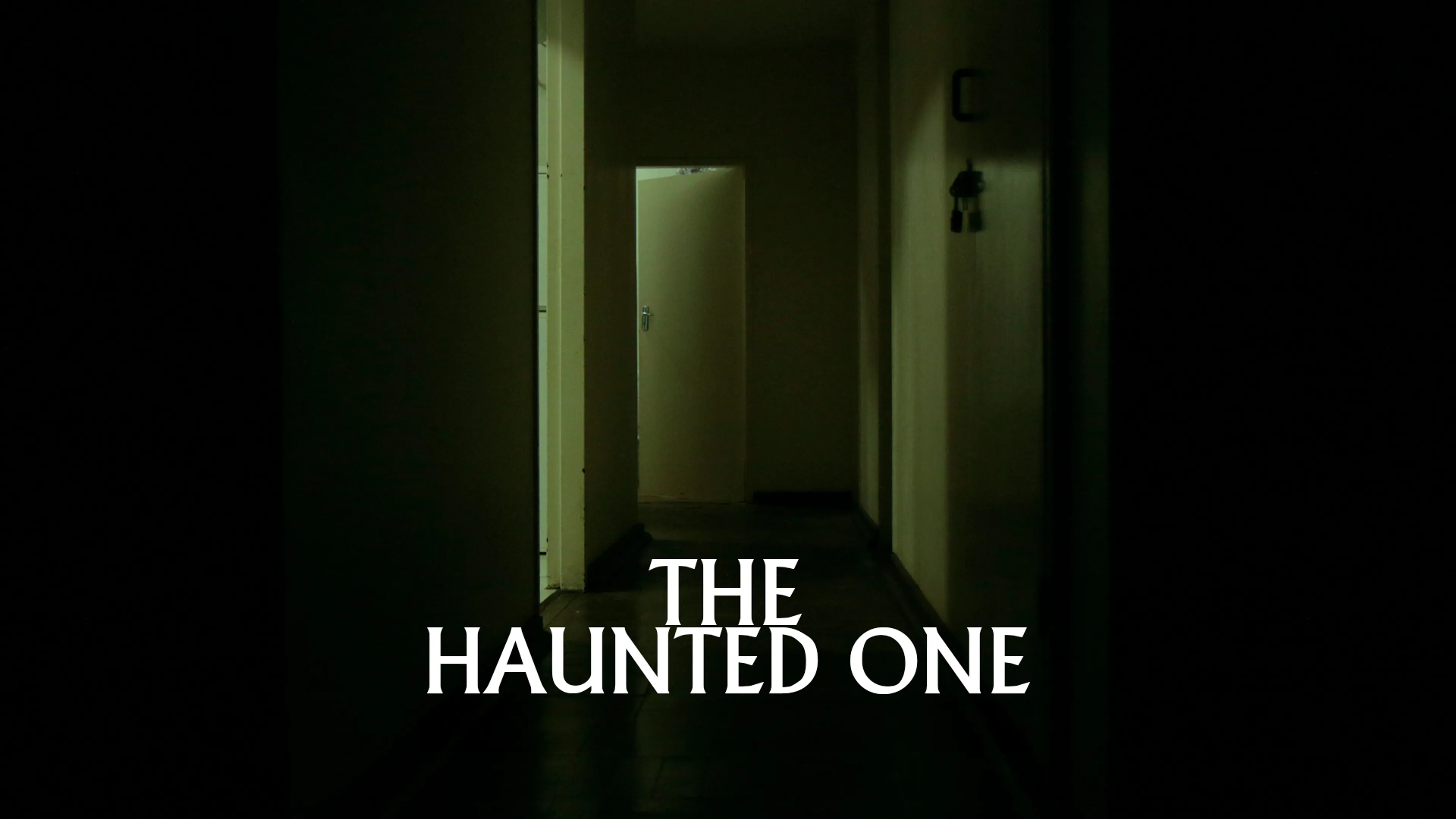 The Haunted One poster